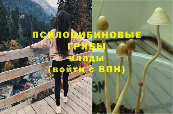 spice Алексеевка